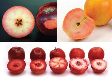 Red-fleshed apples | Good Fruit Grower