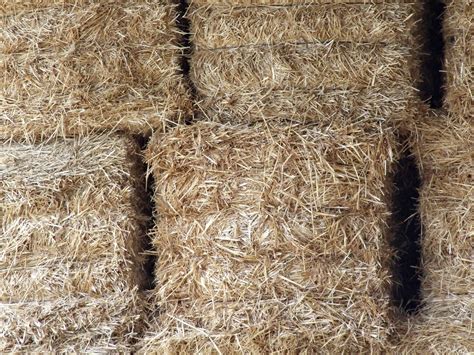 Unique Ways That You Can Use Straw - The Straw Barn