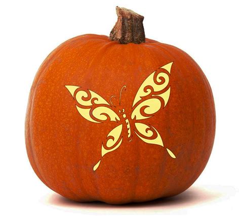 Butterfly - Pumpkin Glow