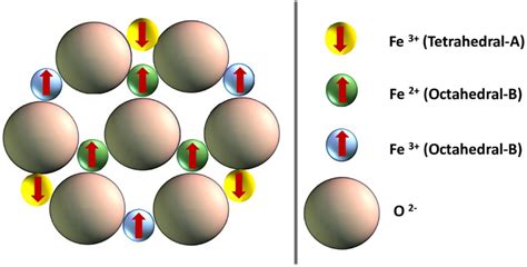 Schematic depicting the magnetization of ferrimagnetism materials ...