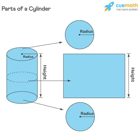 Base Area of Cylinder - Definition, Formula and Examples