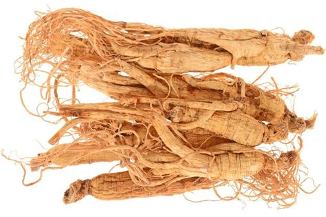 Panax Ginseng (Asian Ginseng) - White Ginseng & Red Ginseng Benefits