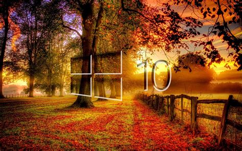 Windows 10 in the fall glass logo wallpaper - Computer wallpapers - #46857