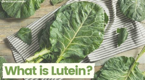 What is Lutein? – Food Insight