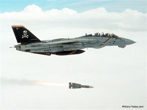 F-14 Tomcat Images