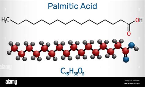 Palmitic acid or hexadecanoic, C16H32O2 molecule. It is saturated fatty ...