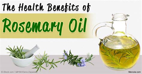 Herbal Oil: Rosemary Oil Benefits and Uses