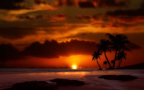 Paradise Beach wallpaper | 1366x768 | #60099