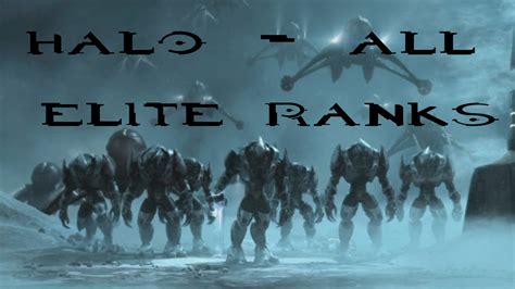 Halo - All Elite / Sangheili Ranks - YouTube