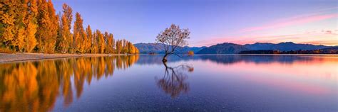 Lake Wanaka Tree Sunrise Autumn | Panorama photography, Panoramic ...