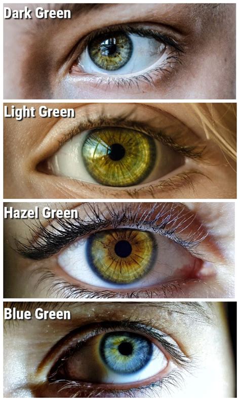 What Is the Best Hair Color for Green Eyes for 2024 - Hair Adviser | Hair colour for green eyes ...