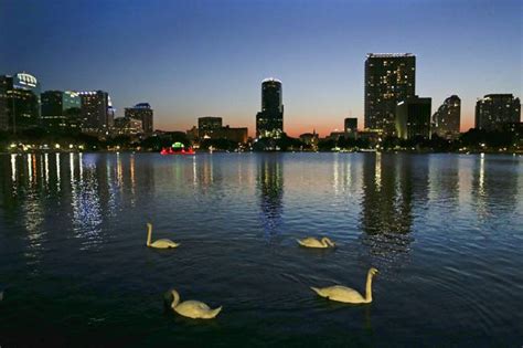 5 free things to do in Orlando (no theme parks!) - Las Vegas Sun Newspaper