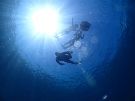 Izu Peninsula Geopark Marine and Geotour | National Parks of Japan