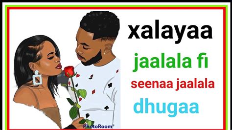 🛑xalayaa jaalala fi seenaa jaalala dhugaa #oromo#ethiopia - YouTube