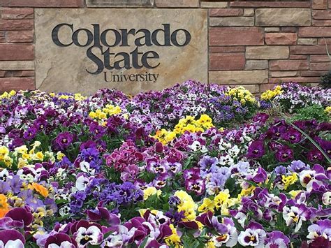 Colorado State University Number 1 in U.S. for Sustainability