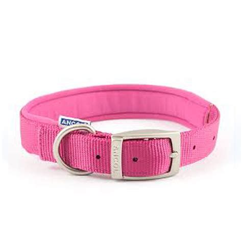 Ancol Nylon Collar – The Pet Centre