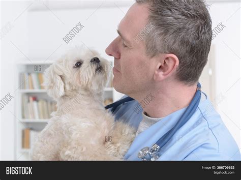 Happy Vet Little Dog Image & Photo (Free Trial) | Bigstock