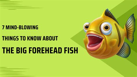 7 Mind-blowing Things to Know About The Big Forehead Fish - The Pet Heal