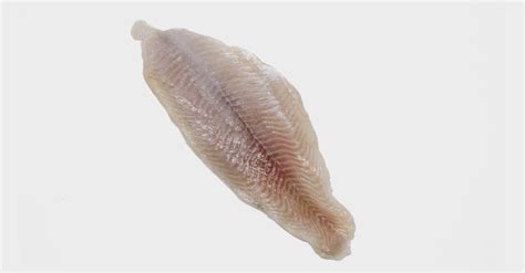 Wholesale Catfish Fillets – Heartland Catfish Company Products