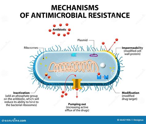 Antimicrobial Resistance Stock Vector - Image: 66421906