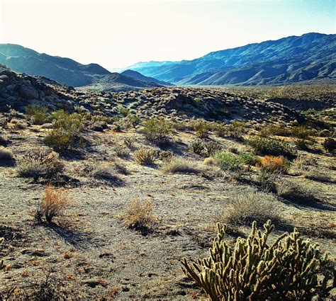 Photos of Borrego Springs: Images and photos