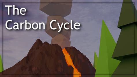 The Carbon Cycle - 3D Animation - YouTube