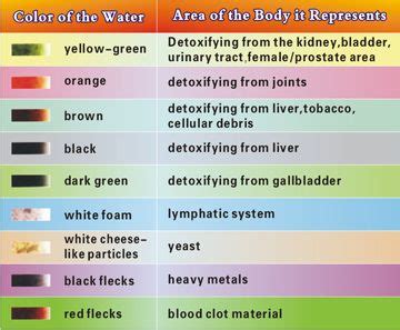 What do the colors mean? | Foot detox, Foot detox soak, Detox