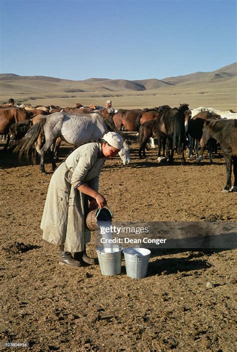 Mongolian Woman Pouring Horse Milk High-Res Stock Photo - Getty Images