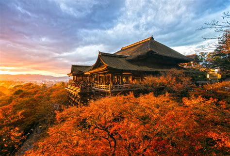 Kiyomizu Dera Temple - Tea Ceremony Japan Experiences MAIKOYA