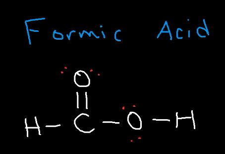 Lewis Structure For H2co2 - Draw Easy