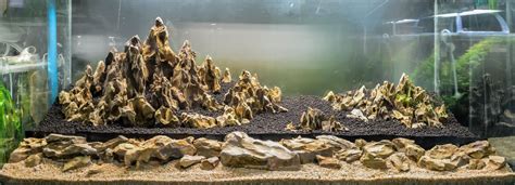 A Guide to Aquarium Substrate Choices