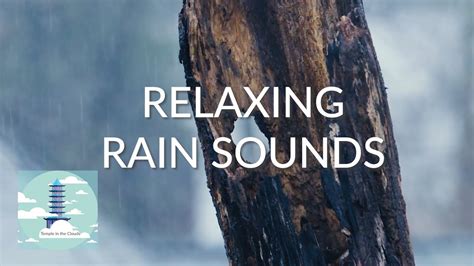 Calming Rain Sounds - 20 Minutes of Relaxing Sound of Rain - Stress ...