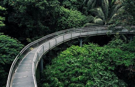 12 Hiking Trails In Singapore You Should Definitely Check Out