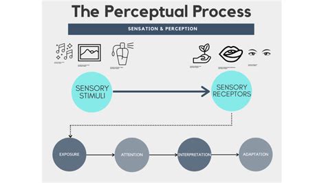 3. The Perceptual Process | Innovatank Publishing