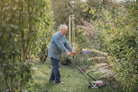 Can I Mow Wet Grass Or Would I Rather Let It Dry First? | TheFragrantGarden