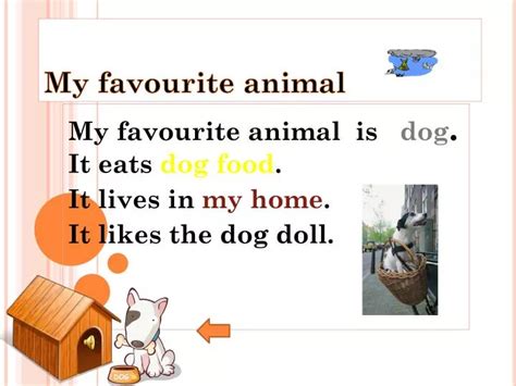 PPT - My favourite animal PowerPoint Presentation, free download - ID:4972172