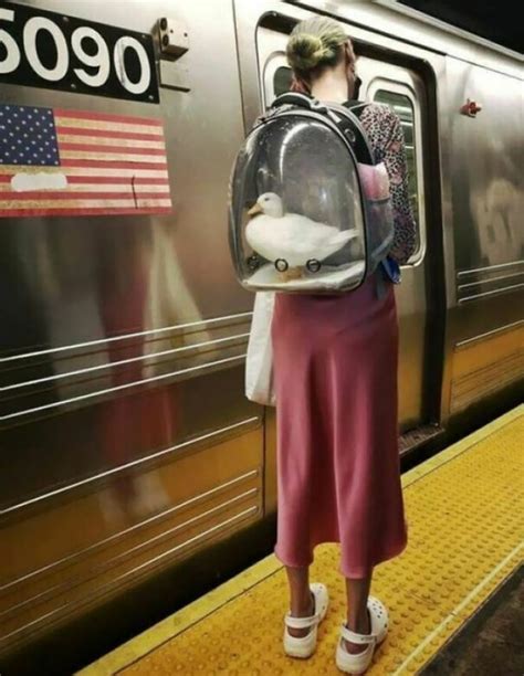 30 Funny And Strange Things Spotted On The Subway | DeMilked