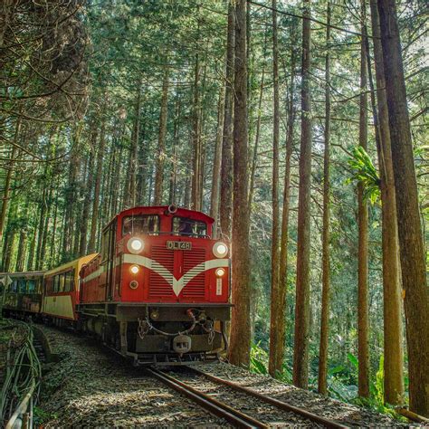 Alishan Forest Railway - All You Need to Know BEFORE You Go (2024)