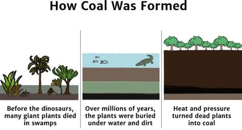 Coal - Knowledge Bank - Solar Schools