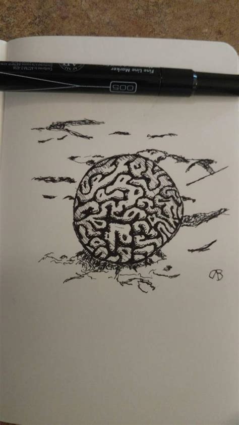 Brain coral by itsacon10 on DeviantArt