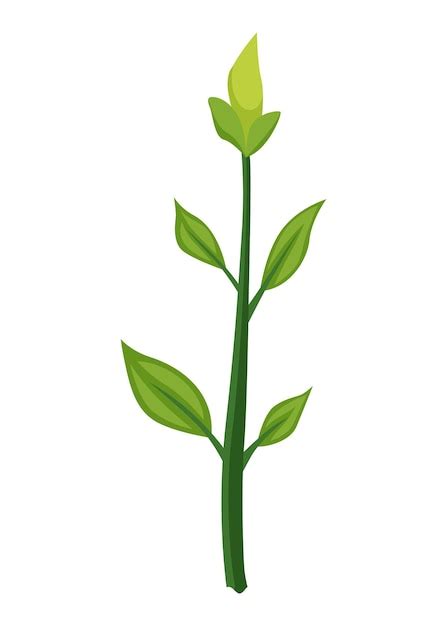 Flower Stem Clipart Free | Best Flower Site