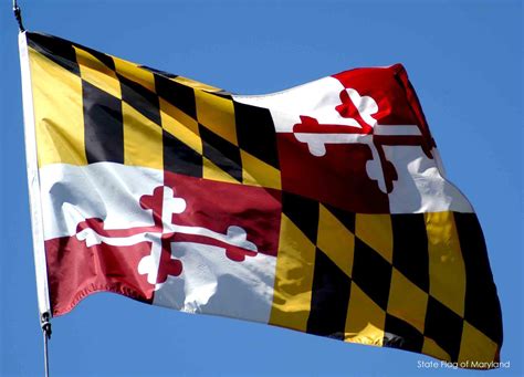 Maryland State Flag Now Under Fire Over 'Confederate Ties' – True Pundit