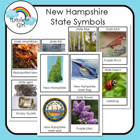 New Hampshire State Symbols | State symbols, New hampshire, Vocabulary ...