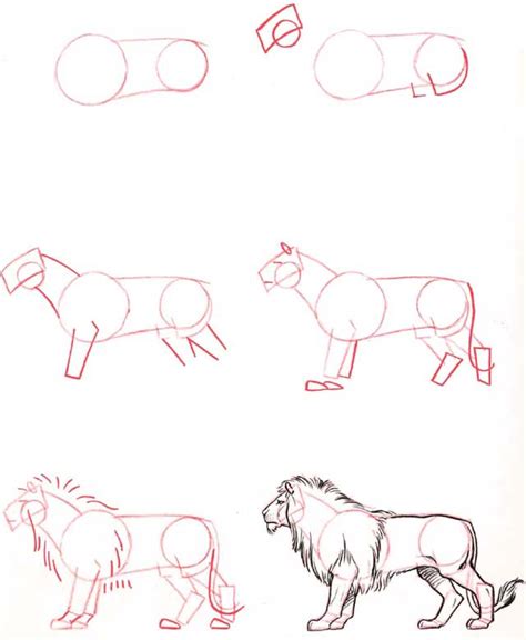 Free How To Draw A Lion, Download Free How To Draw A Lion png images ...