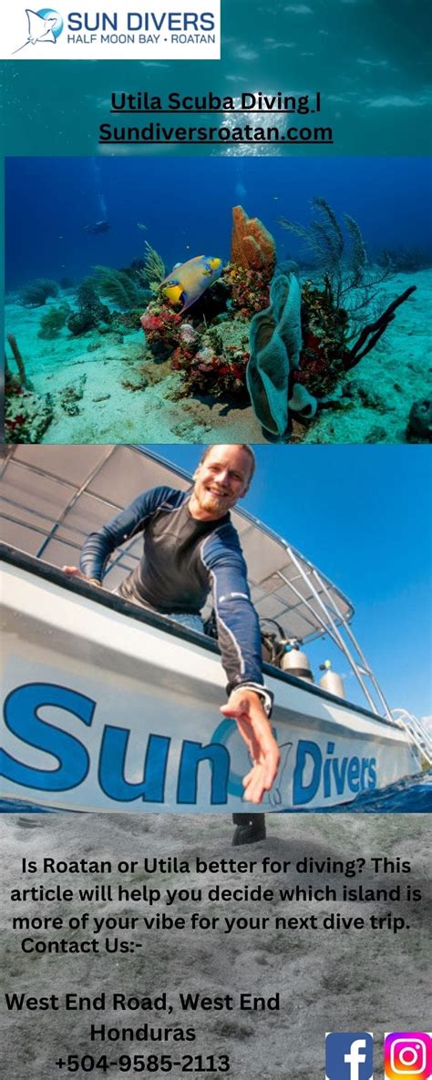 Roatan Dive Packages | Sundiversroatan.com - Sun Divers Roatan - Medium