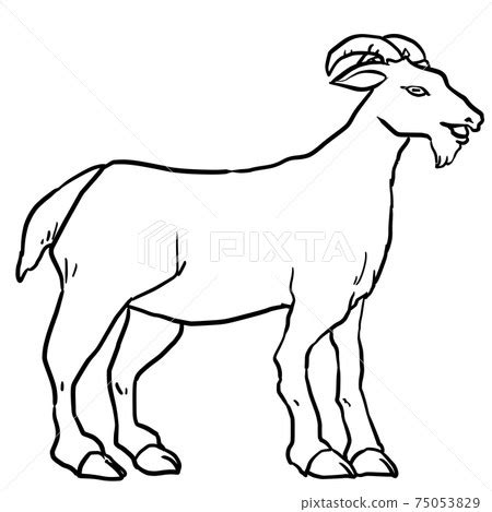 Realistic Goat Drawing