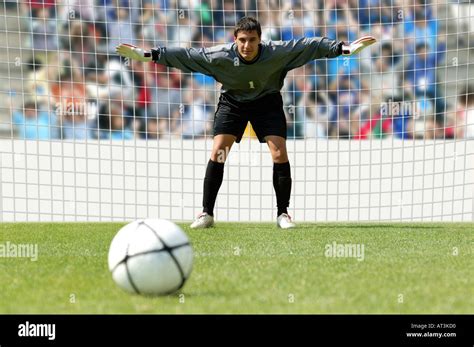 Goalkeeper facing penalty Stock Photo - Alamy