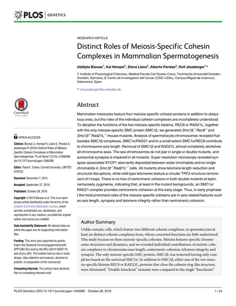 (PDF) Distinct Roles of Meiosis-Specific Cohesin Complexes in Mammalian Spermatogenesis