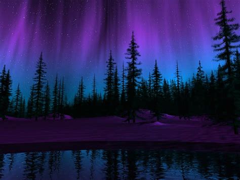 The northern lights, stars, purple, trees, lake, blue, night, HD wallpaper | Peakpx