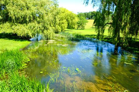 River Stour Kent..(Upper Great Stour) | It rises south of th… | Flickr